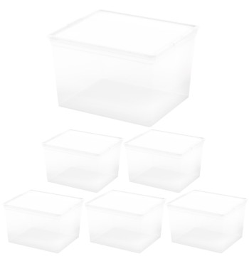 Curver Pack 6 caixas organizadoras 27 litros 40x34x25 cm