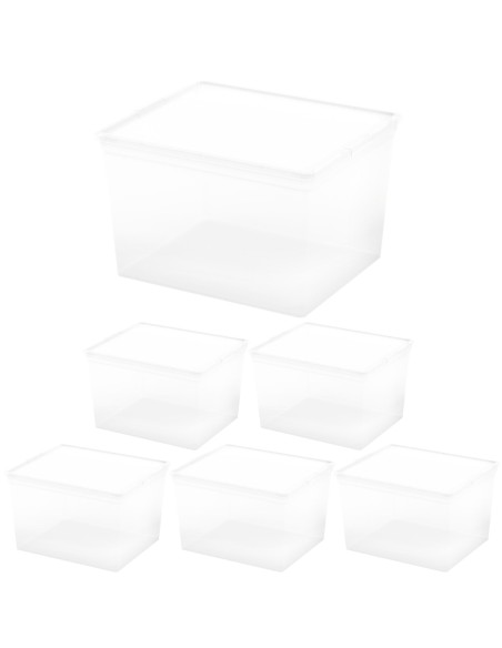 Curver Pack 6 caixas organizadoras 27 litros 40x34x25 cm