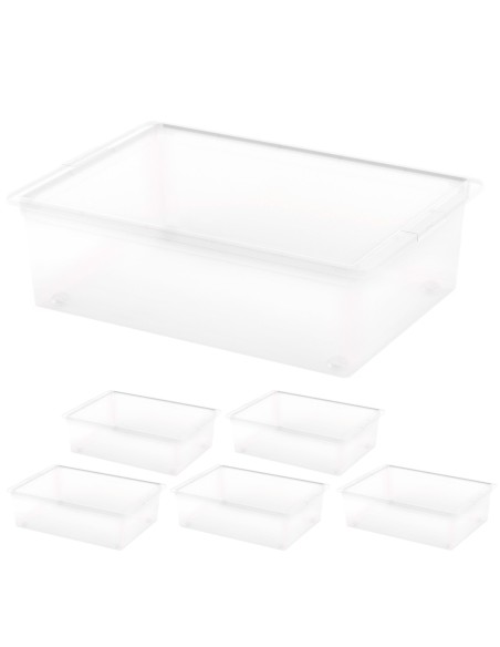 Curver Pack 6 caixas organizadoras 27 litros 55x38,5x16,5 cm
