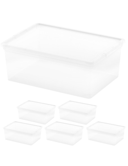 Curver Pack 6 caixas organizadoras 11 litros 37x26x14 cm