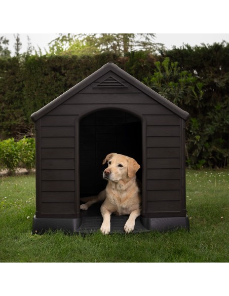 Casinha de cachorro de resina marrom Curver com piso elevado e sistema de ventilação 95x99x99 cm