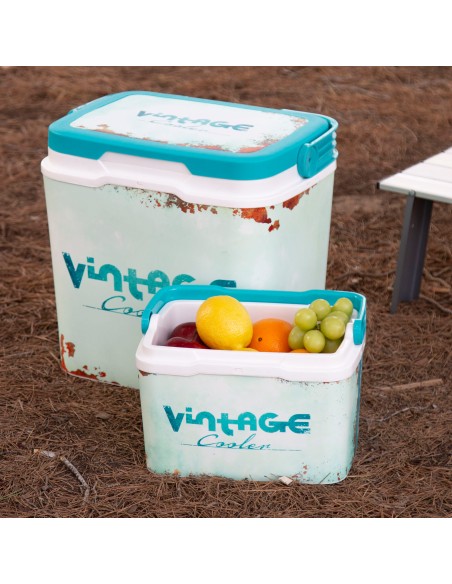 Geladeira portátil rígida clássica de 5 litros