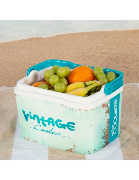 Geladeira portátil rígida clássica de 5 litros